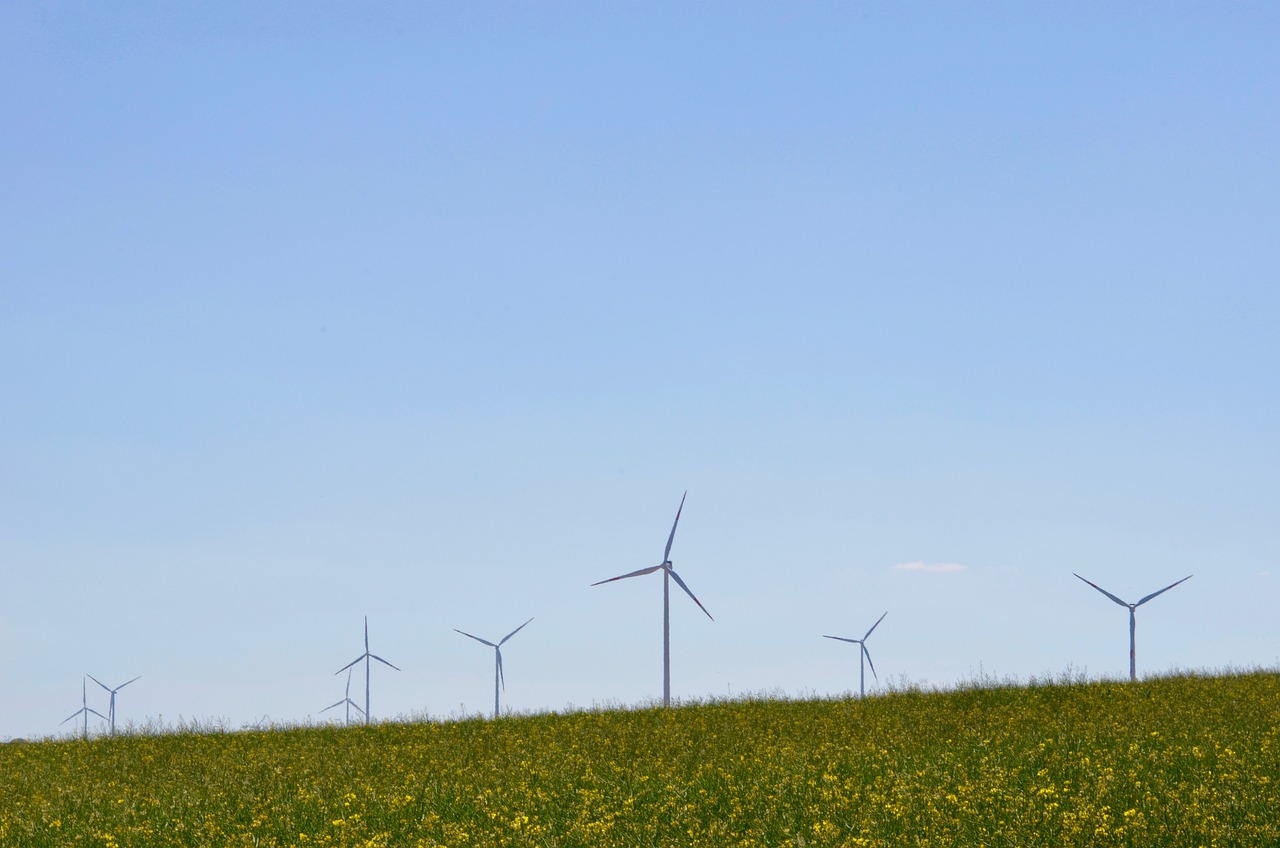 Green Dating Ideas for Eco-Conscious Singles